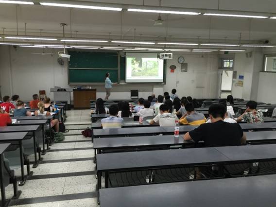 成人影视片