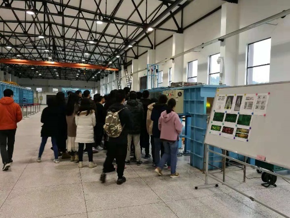 成人影视片