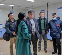 成人影视片