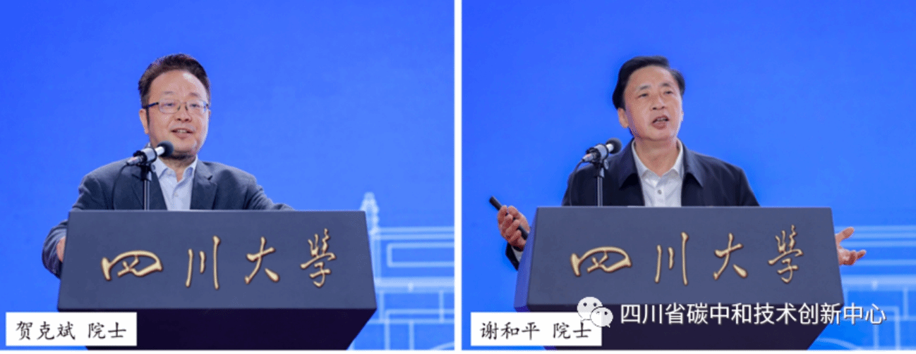 成人影视片