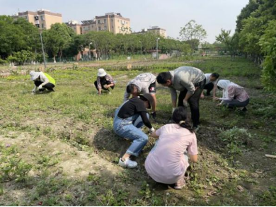 成人影视片
