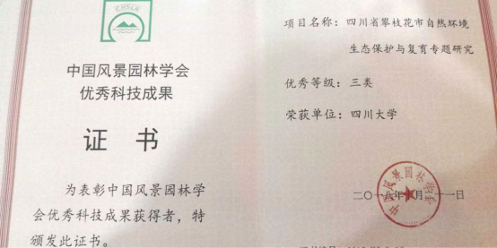 成人影视片