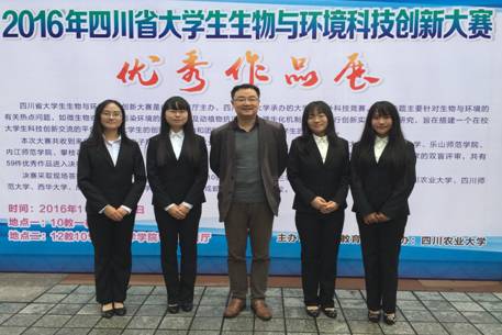成人影视片