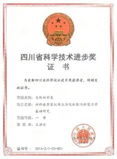 成人影视片
