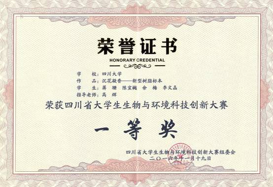 成人影视片
