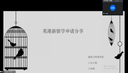 成人影视片