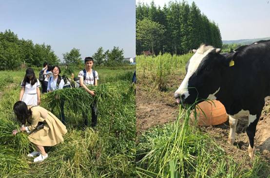 成人影视片
