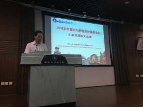 成人影视片