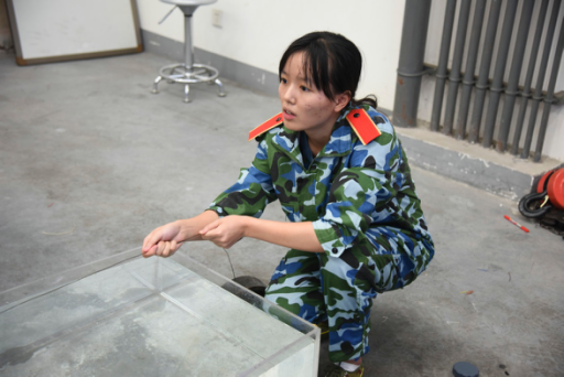 成人影视片