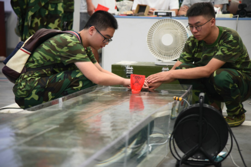 成人影视片