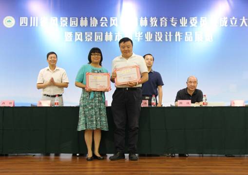 成人影视片