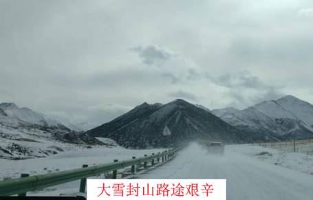 成人影视片