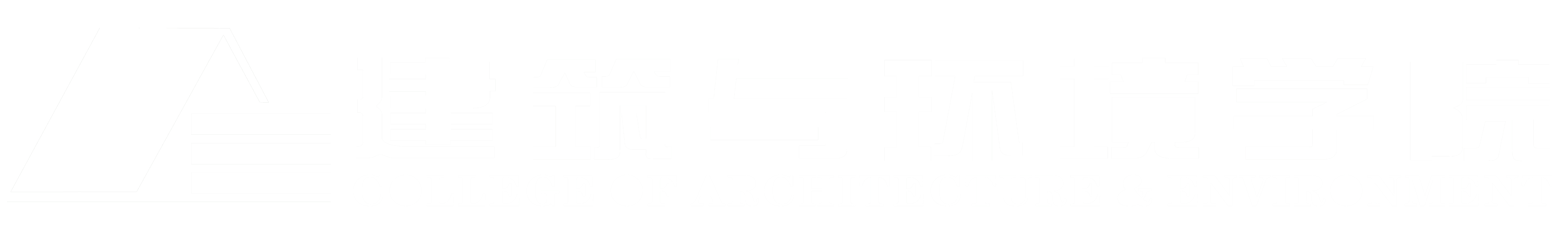 成人影视片